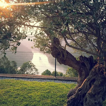 Holiday home Quinta Das Tilias Douro Valley *