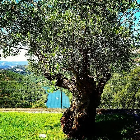 Hébergement de vacances Quinta Tilias Douro Valley