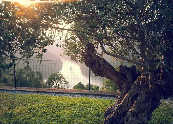 펜션 Quinta Tilias Douro Valley *