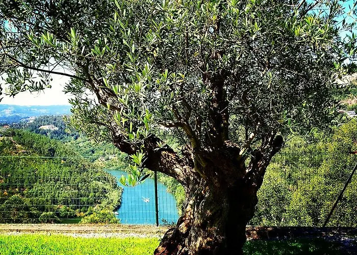 펜션 Quinta Tilias Douro Valley